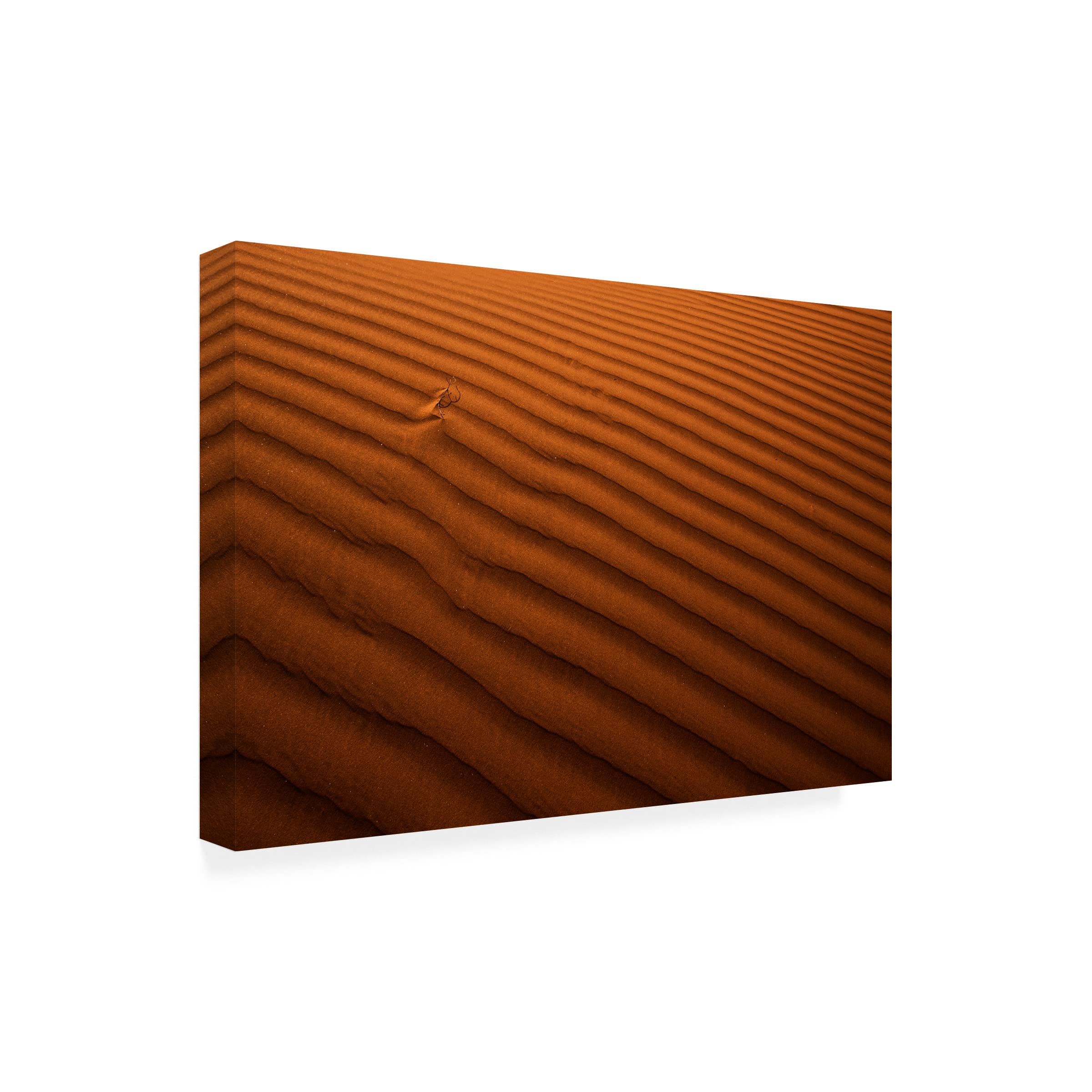 Trademark Fine Art 'Golden Lines' Canvas Art by Ibrahim Nabeel - Modern Abstract Wall Decor for Living Room, Bedroom & Office
