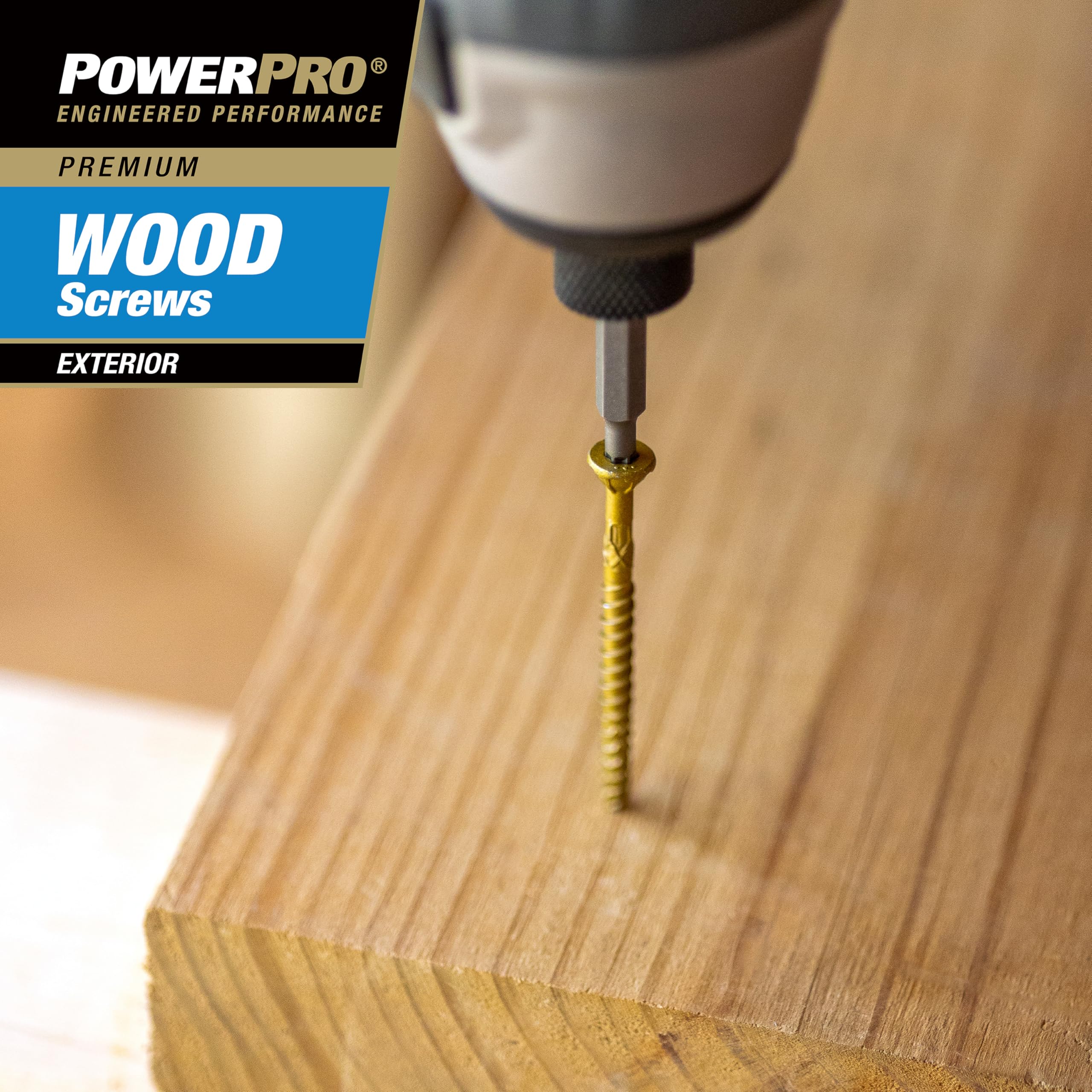 Power Pro 48308 #10 x 2-1/2