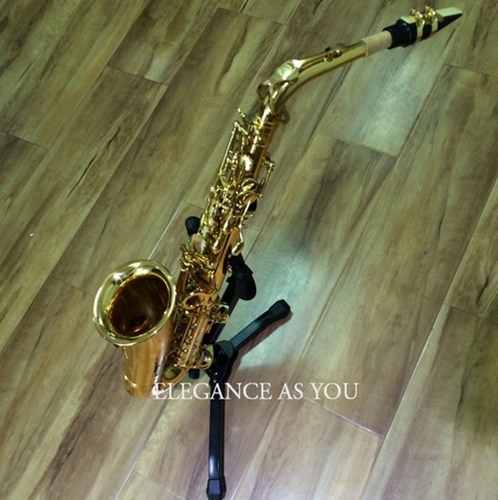 Foldable Saxophone Stand for Alto & Tenor Sax - Adjustable Tripod Holder with Rubber Grips | Perfect for Home Practice, Band Performances & Music Lessons