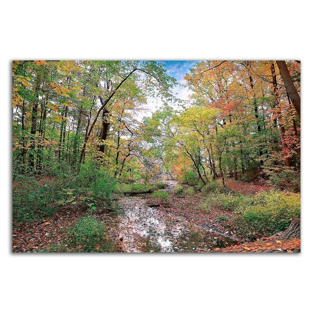Autumn at Hopkins Pond by John Rivera - Premium Canvas Art Print, Ready to Hang Wall Decor for Living Room, Bedroom & Office