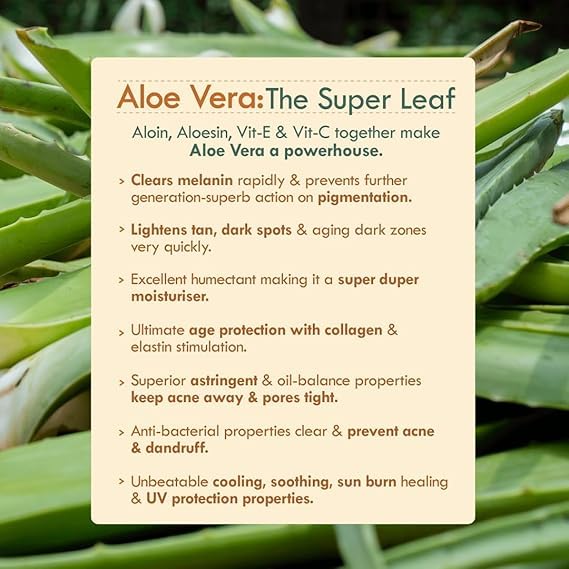 Vitamin C Aloe Vera Gel Face Moisturizer - Brightening, Hydration & Collagen Boosting with Orange & Kiwi Extracts | For Dry, Normal & Sensitive Skin | Daily Use Facial Cream | 50g | Perfect for Morning & Night Skincare Routine
