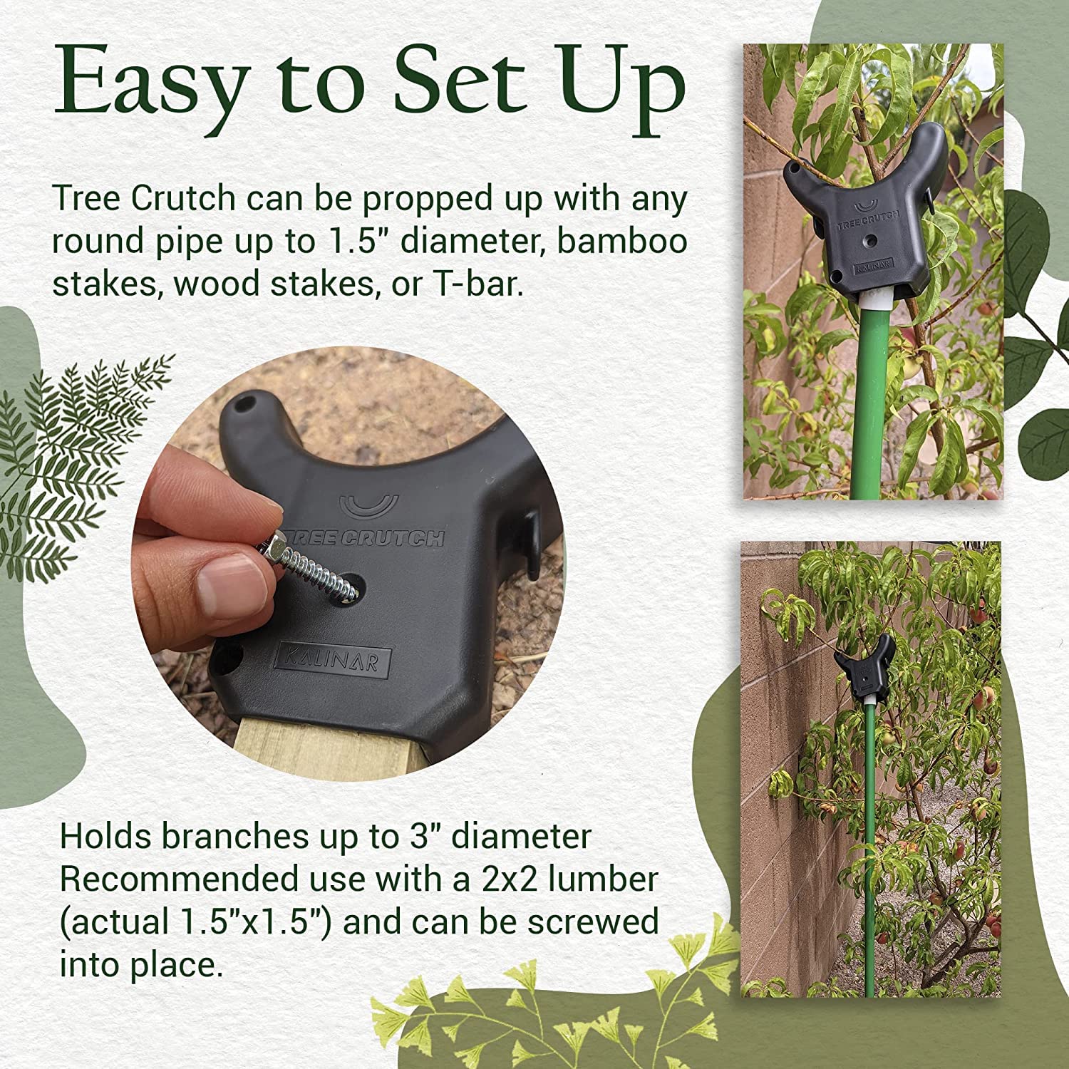 Heavy Duty Tree Crutch - 10-Pack Sturdy Fruit Tree Branch Support for Apples, Peaches & Citrus - Prevents Breakage from Heavy Fruit & Snow Load - Compatible with 2x2 Lumber, T-Bars & Garden Stakes - Perfect for Orchards, Backyard Fruit Trees & Winter Protection