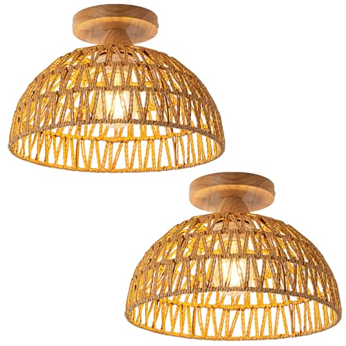 Brown-dome Light 2 Sets