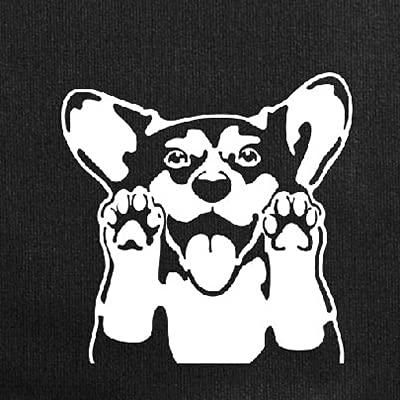 Pembroke Welsh Corgi Dog