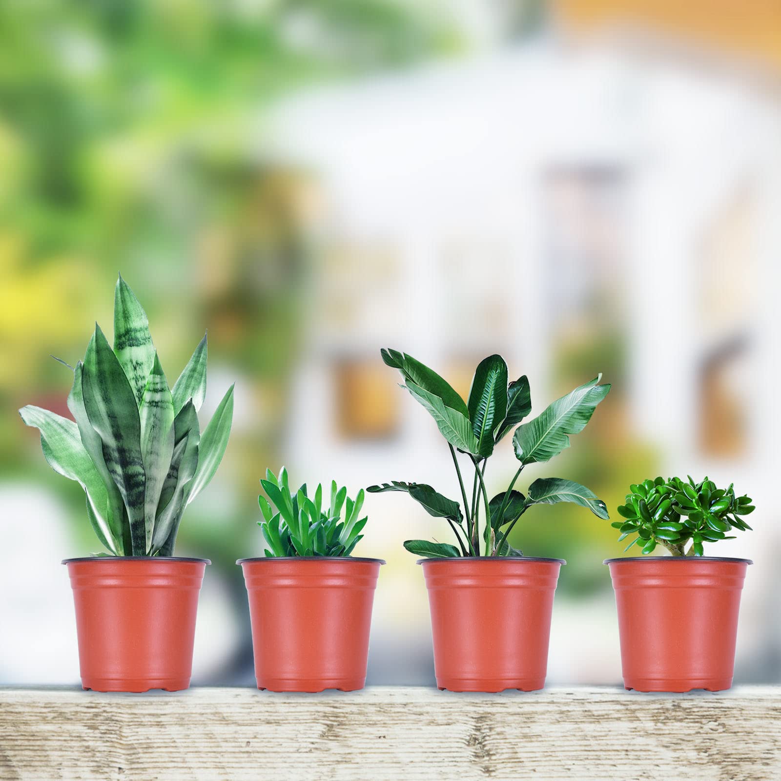 Kleeblatt 100-Pack 6 Inch Plastic Nursery Pots with 30 Plant Labels - Seedling Containers for Flowers, Herbs & Vegetables | Ideal for Indoor Gardening, Greenhouses & Home Plant Propagation