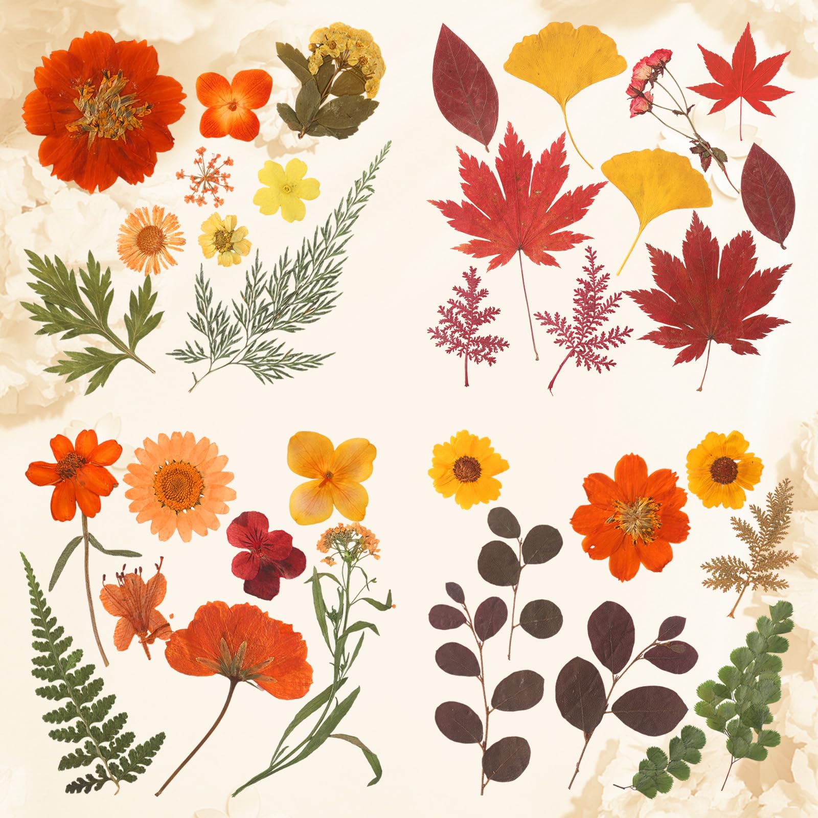 100PCS Real Pressed Autumn Flowers & Leaves for Resin Molds - Fall Dried Floral Collection for DIY Jewelry, Scrapbooking, Candle Making, Home Decor & Wedding Crafts