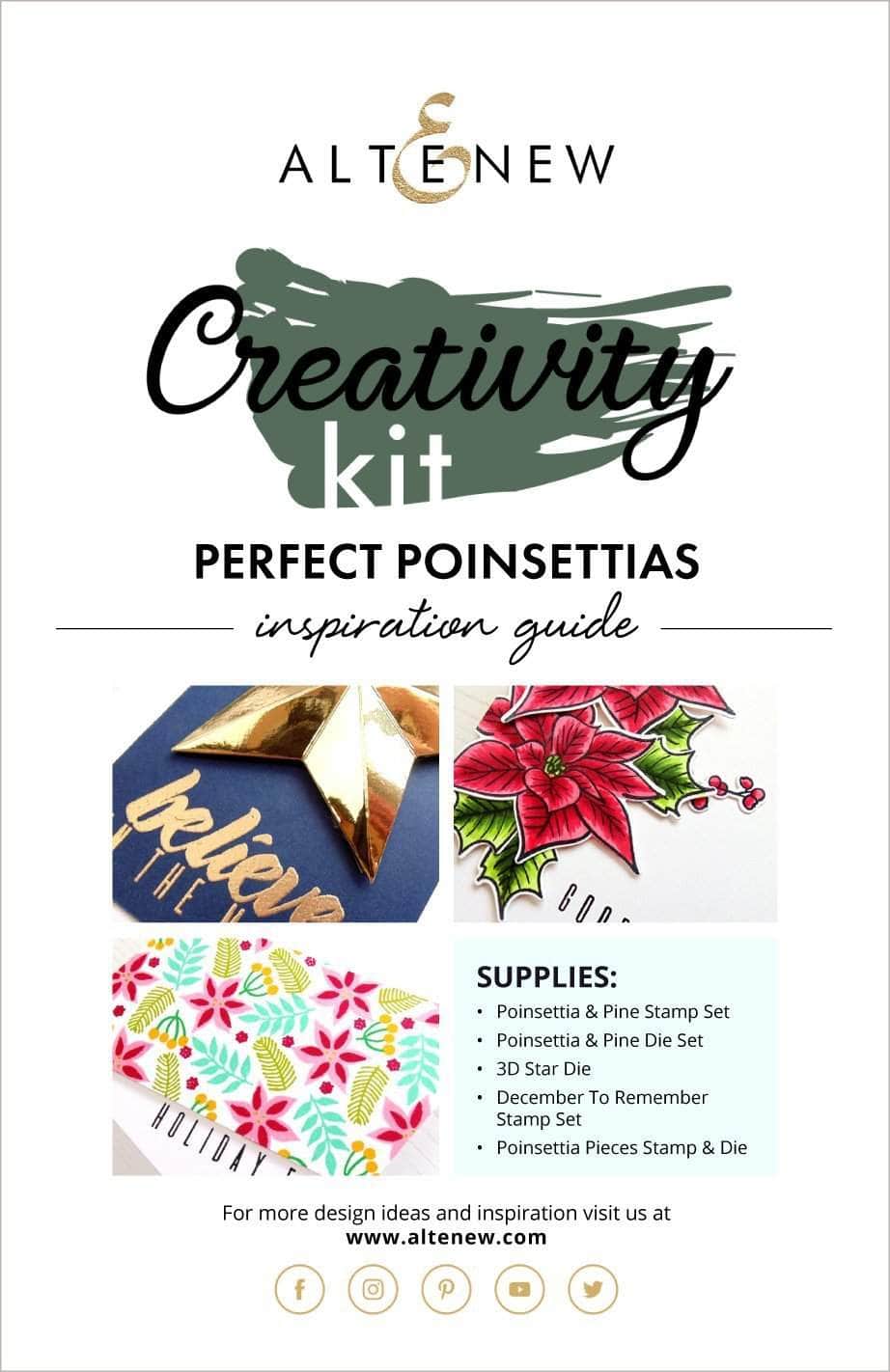 Perfect Poinsettias Creativity Kit - DIY Holiday Floral Arrangement Guide for Christmas Decorations & Home Party Decor