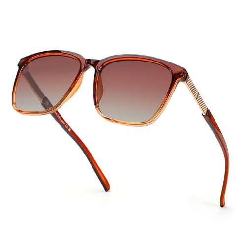 S2-brown Frame Brown Lens