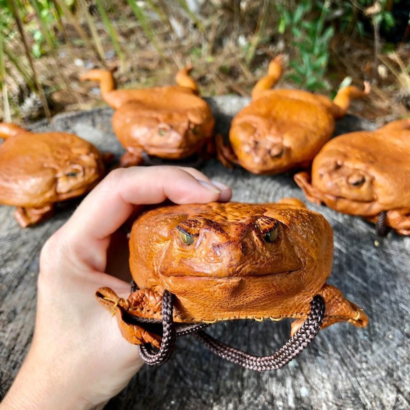 Funny Sugar Cane Toad Full-Body Purse - Frog Coin Wallet & Home Decor - Unique Gift for Animal Lovers - Perfect for Halloween, Cosplay & Novelty Storage (One Size)