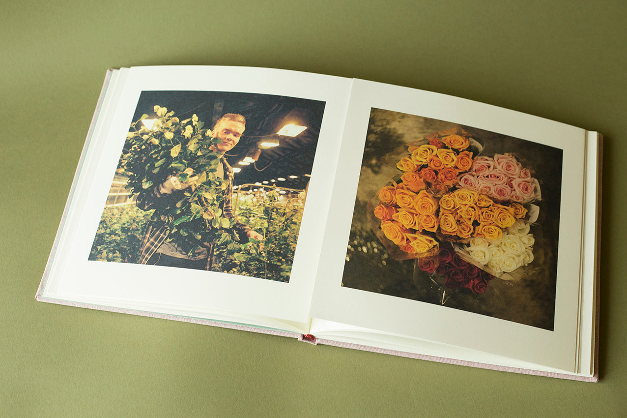 Roses Grew on Snow by Vassilis Triantis - Romantic Winter Poetry Book for Cozy Reading by the Fireplace