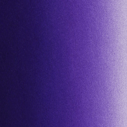 Violet Illustration Art Print - Premium Wall Decor for Home, Office & Gifts | Perfect for Living Room, Bedroom & Creative Spaces