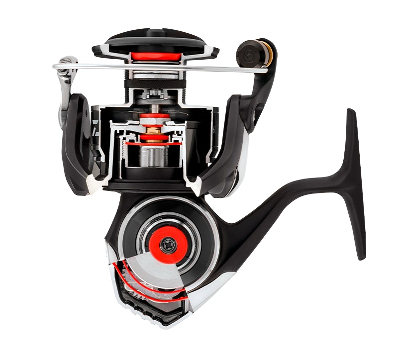 Daiwa BG MQ 20 Spin Fishing Reel - Saltwater & Freshwater Spinning Reel for Surf, Pier & Boat Fishing | Smooth Drag System & Corrosion-Resistant Design