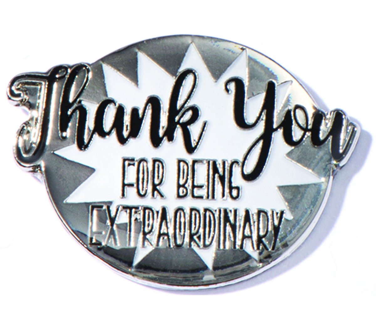 Extraordinary Award Pins (6-Pack) - Perfect for Teacher Gifts & Recognition