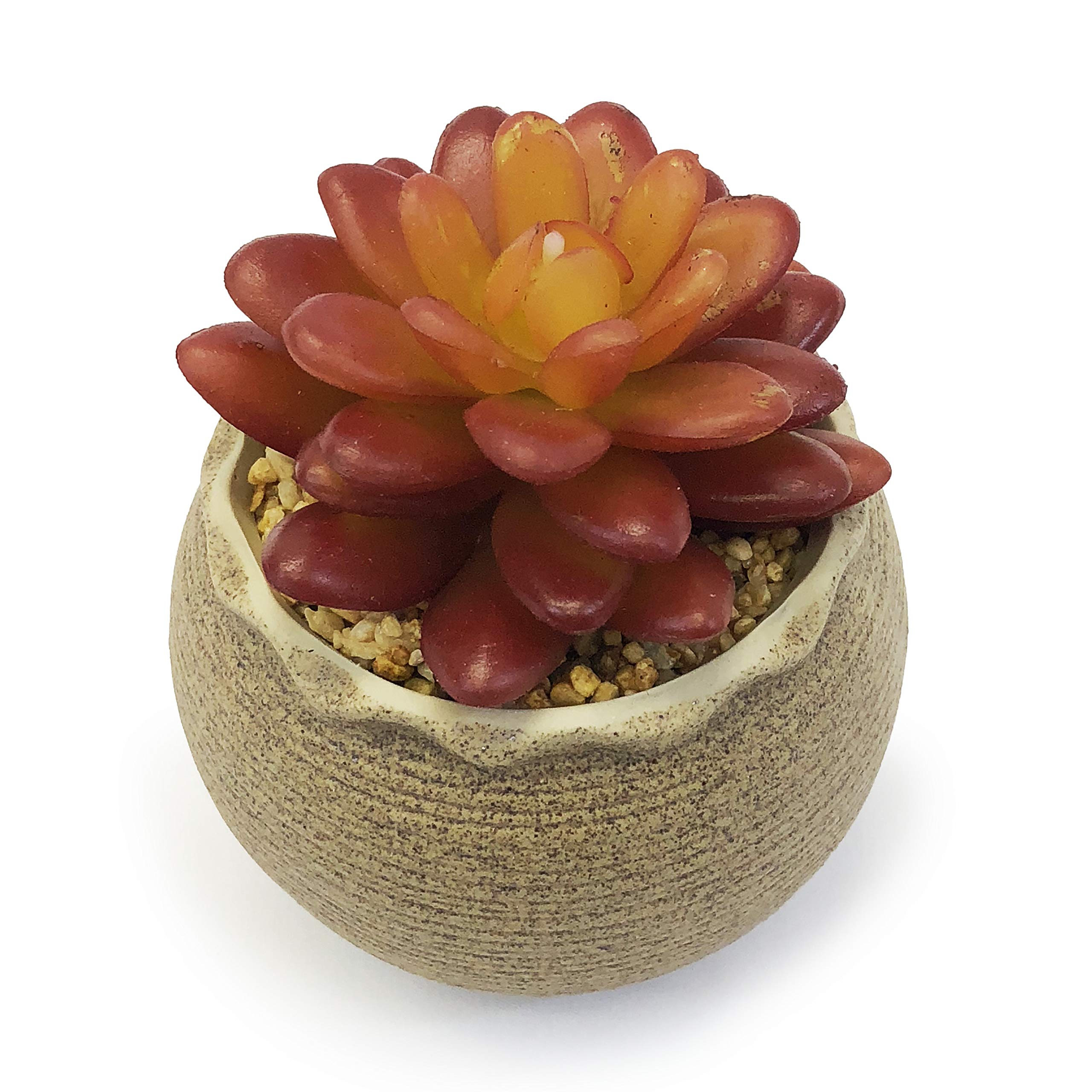 Allgala Small Artificial Succulent Plants in Clay Pot - Realistic Fake Succulents for Home & Office Decor, Indoor and Outdoor Use - Perfect for Desk, Shelf, Table Centerpiece, Wedding Decor and Gift Ideas