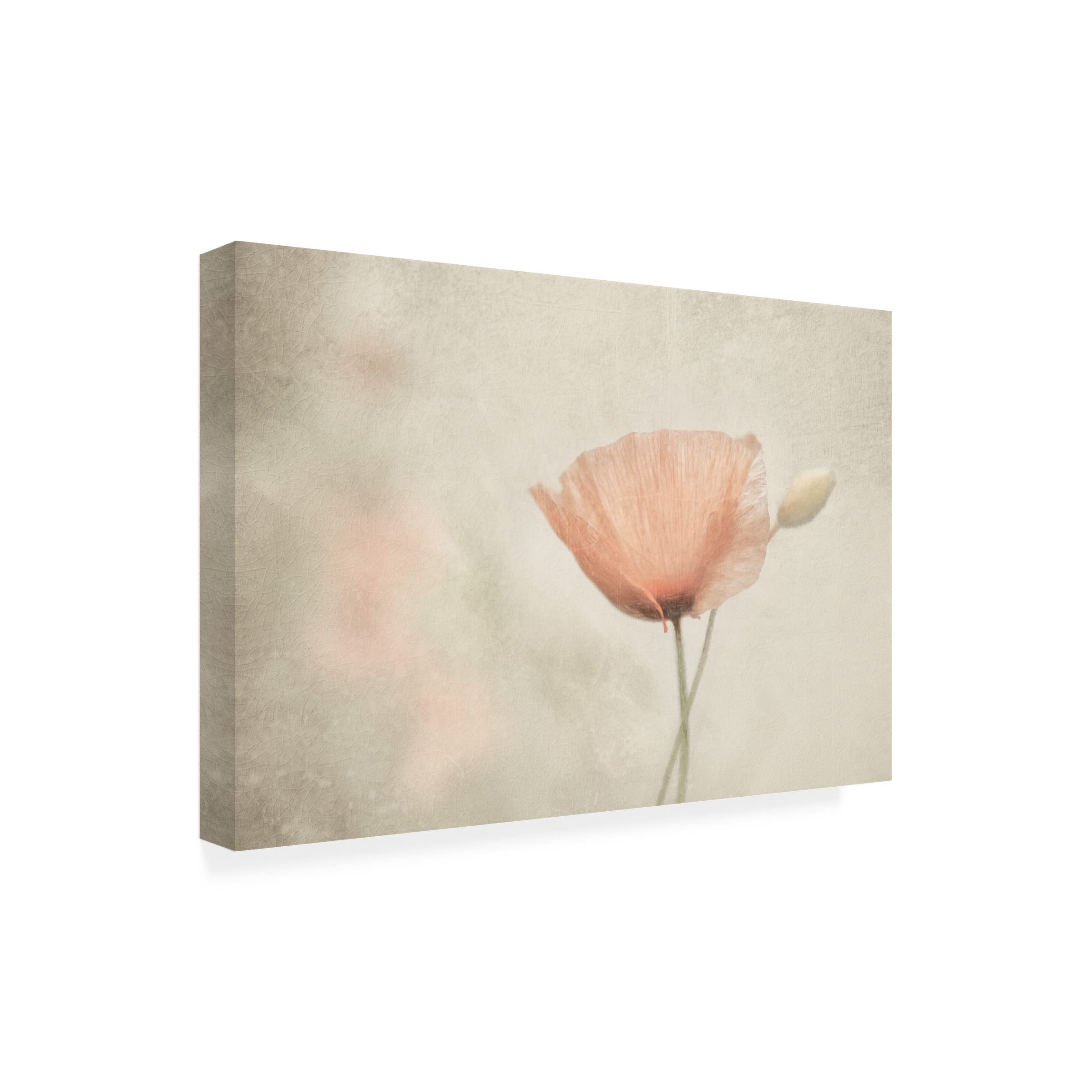 Trademark Fine Art 'Jewel Of Nature' Canvas Wall Art by Gilbert Claes - Handmade Nature Painting for Living Room & Bedroom Decor