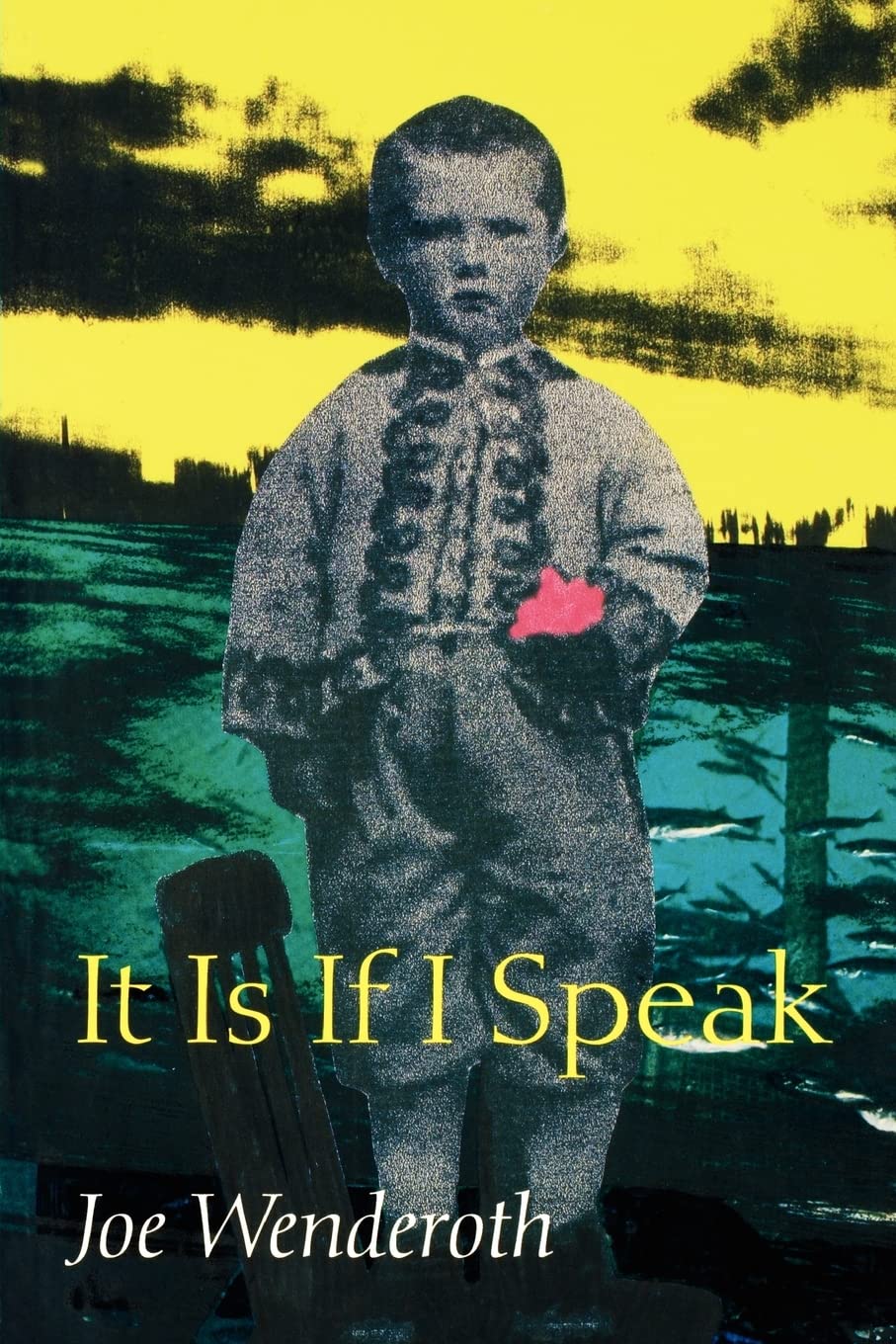 It Is If I Speak - Wesleyan Poetry Series | Thought-Provoking Poetry Book for Literature Lovers & Book Clubs