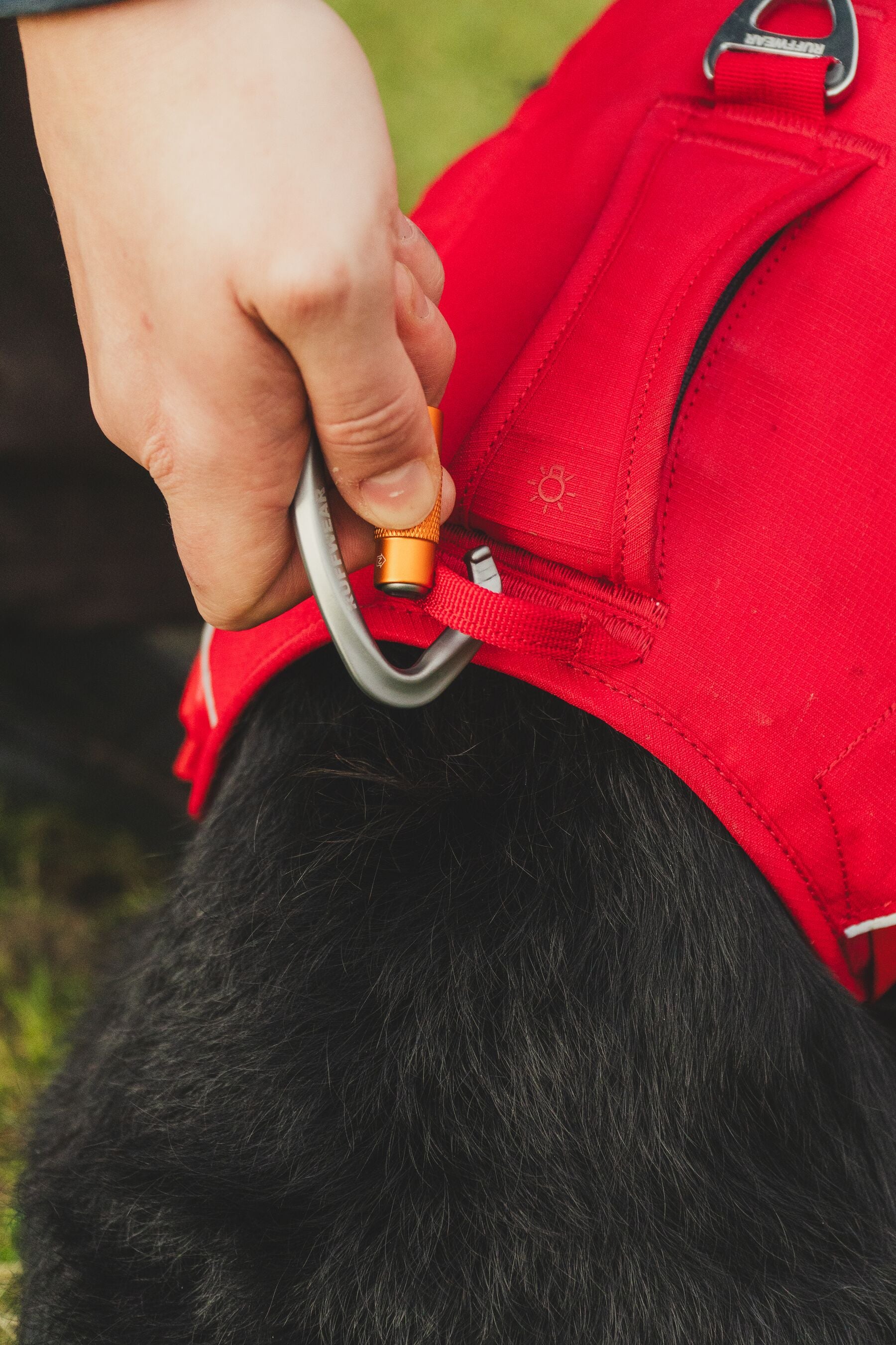Ruffwear® Web Master™ Multi-Use Harness with Handle & Anti-Pull System - Red Canyon for Hiking, Running & Outdoor Adventures with Your Dog