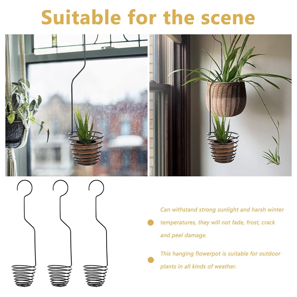 Happyyami 2 Pack Wall Mounted Air Plant Hooks - Heavy Duty Plant Hangers for Large & XL Air Plants - Boho Home & Office Decor for Living Room, Bedroom, or Workspace