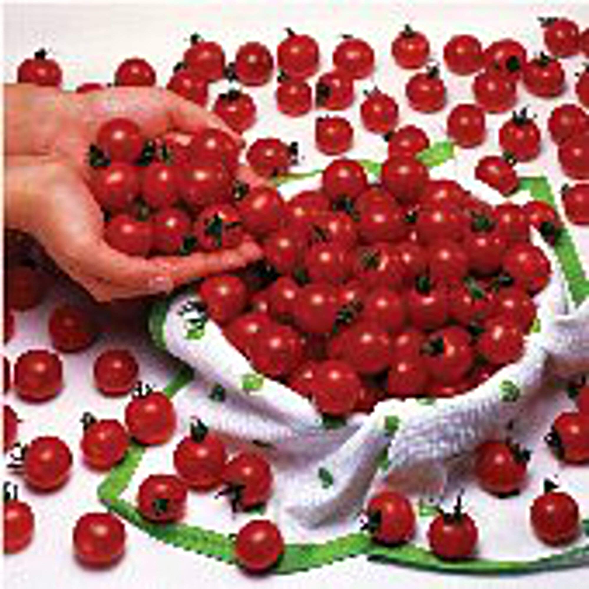 Sweet Million Tomato Seeds (20+ Seeds) - Non-GMO Heirloom Variety for Home Garden, Greenhouse & Container Planting | Perfect for Salads, Sauces & Fresh Eating