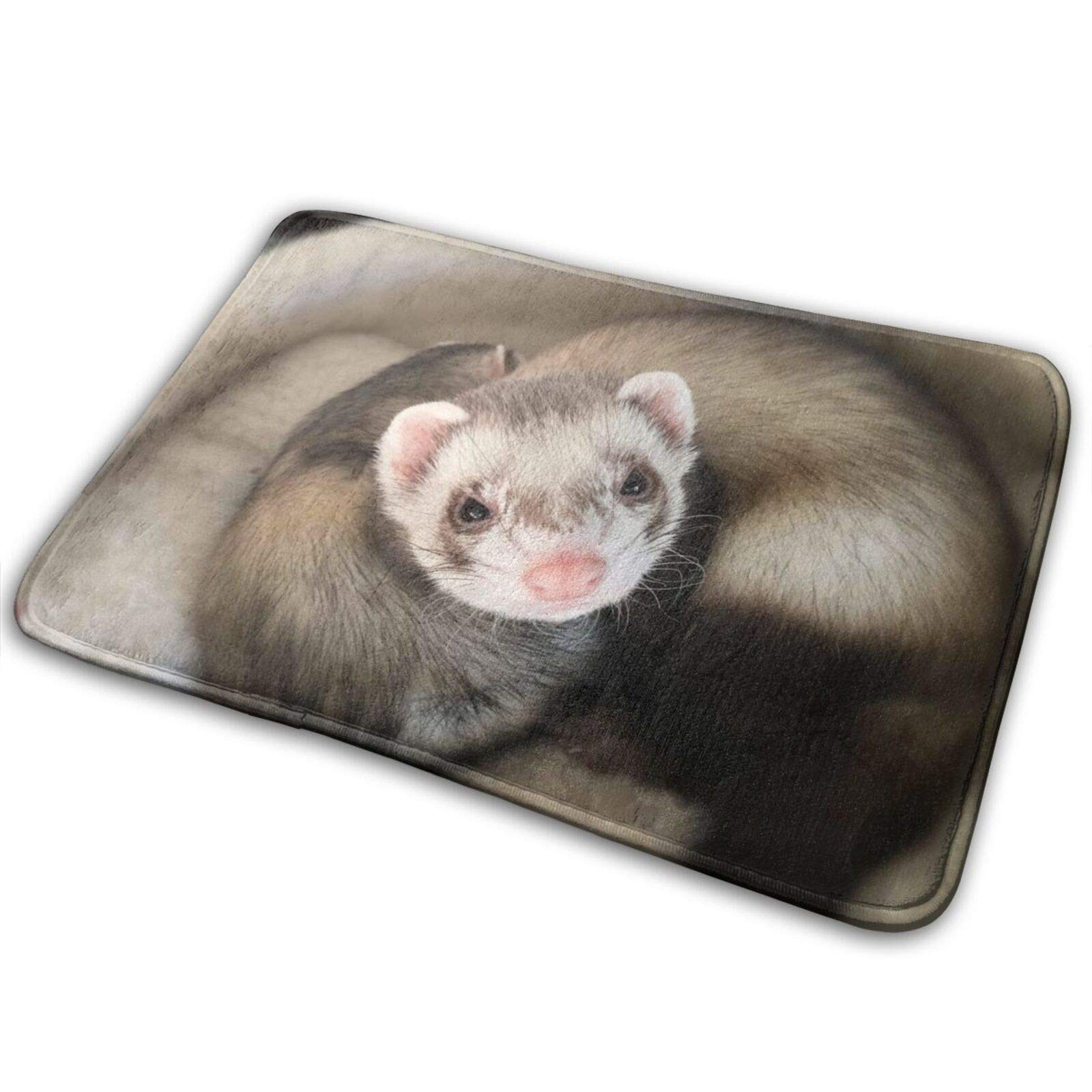 Sweet Tang Memory Foam Ferret Bath Mat - 16x24 Inch Non-Slip Absorbent Bathroom Rug | Machine Washable Pet-Friendly Floor Mat for Bathroom, Kitchen & Home Decor - Perfect for Wet Areas and Pet Play Zones