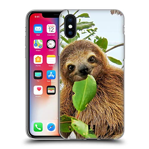 Three Toed Sloth