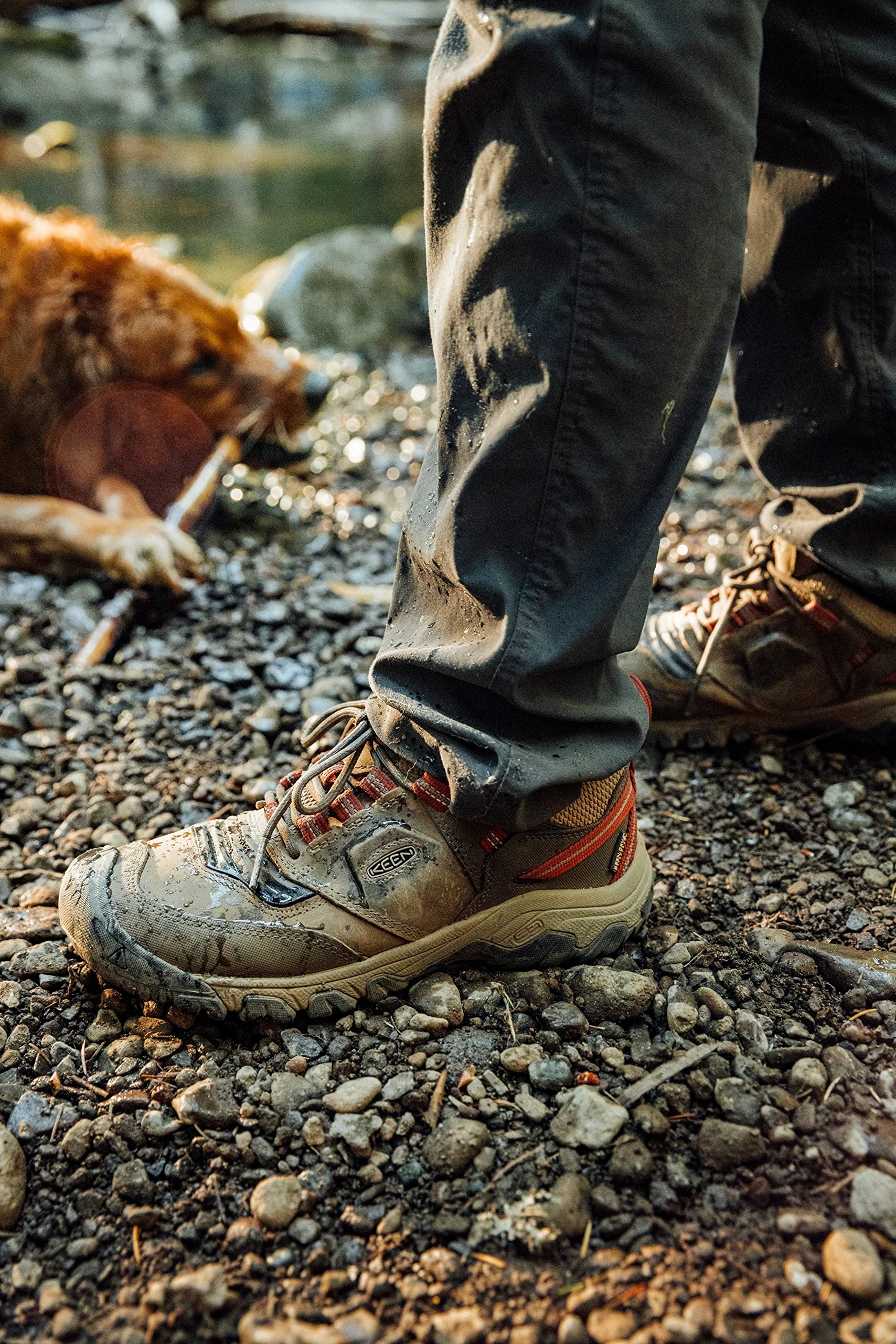 KEEN Men's Ridge Flex Low Height Waterproof Hiking Boots - Lightweight & Durable Outdoor Shoes for Trail Walking, Camping & Backpacking