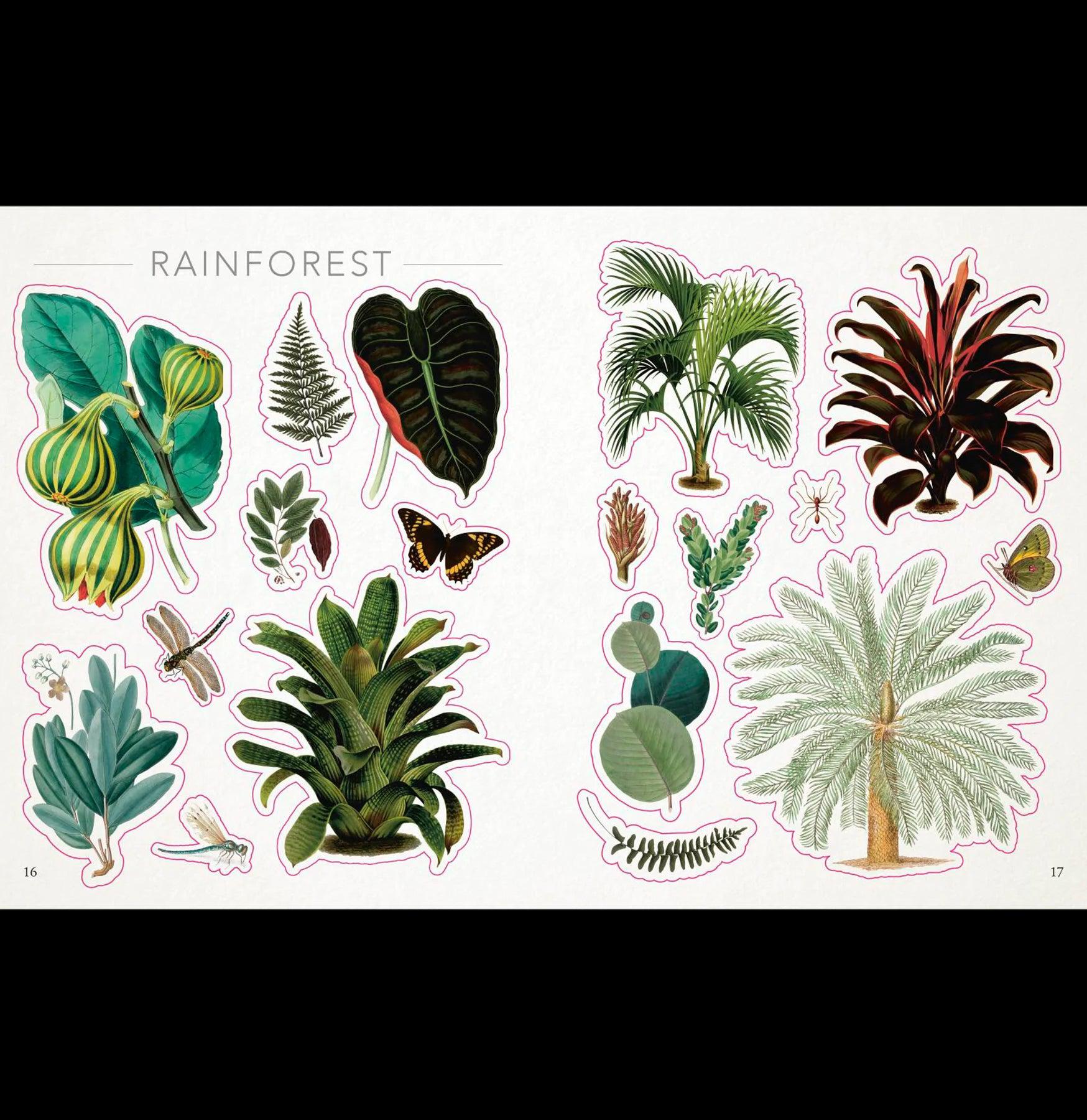The Botanist's Sticker Anthology - Beautiful Floral Decals for Scrapbooking, Journals, Laptops & DIY Crafts