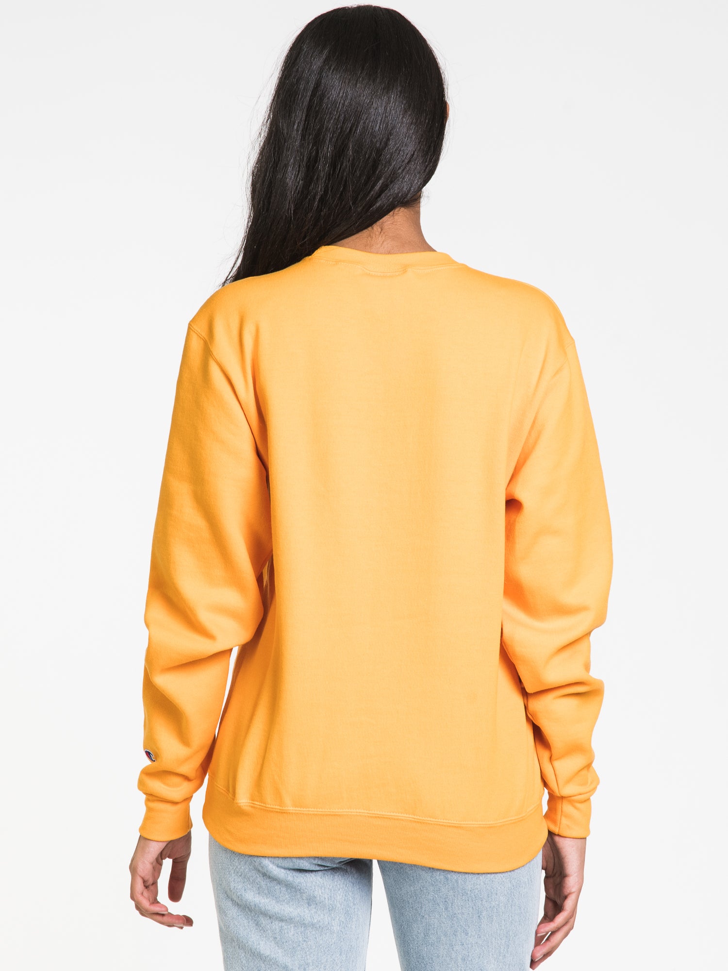 Champion Eco Powerblend Michigan Crewneck Sweater - Soft & Sustainable Cotton Blend, Men's Casual Pullover for Fall & Winter, Perfect for College, Gym, and Outdoor Activities