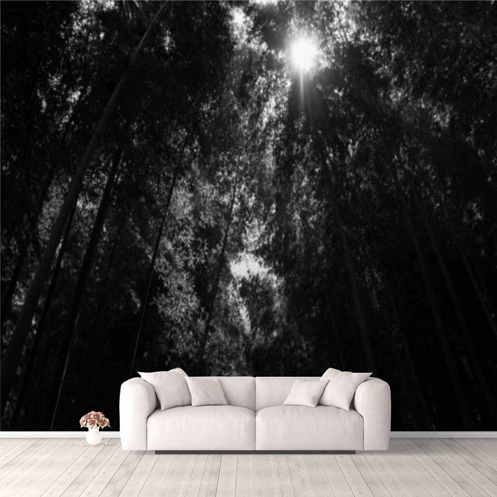 3D Bamboo Forest Sunlight Peel and Stick Wallpaper - Removable Self-Adhesive Wall Mural for Living Room, Bedroom, TV Background | Perfect for Home Decor, Accent Walls & Interior Design