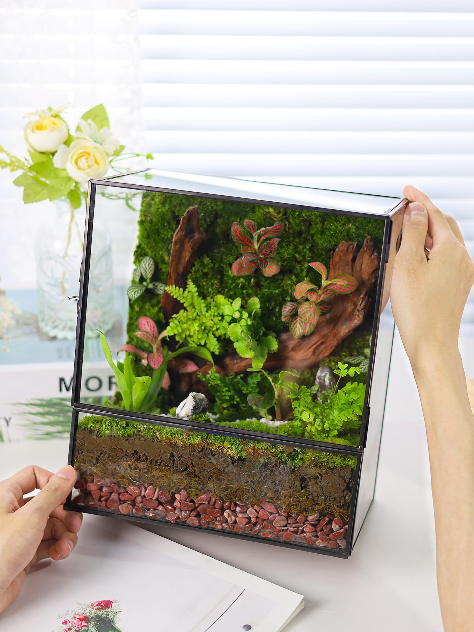 Glass Planter Terrarium with Door - Geometric Glass Greenhouse for Moss & Succulents - Indoor Tabletop Centerpiece Rectangle Black (Terrarium Only) - Perfect for Home Decor, Office Desk & Gift Ideas