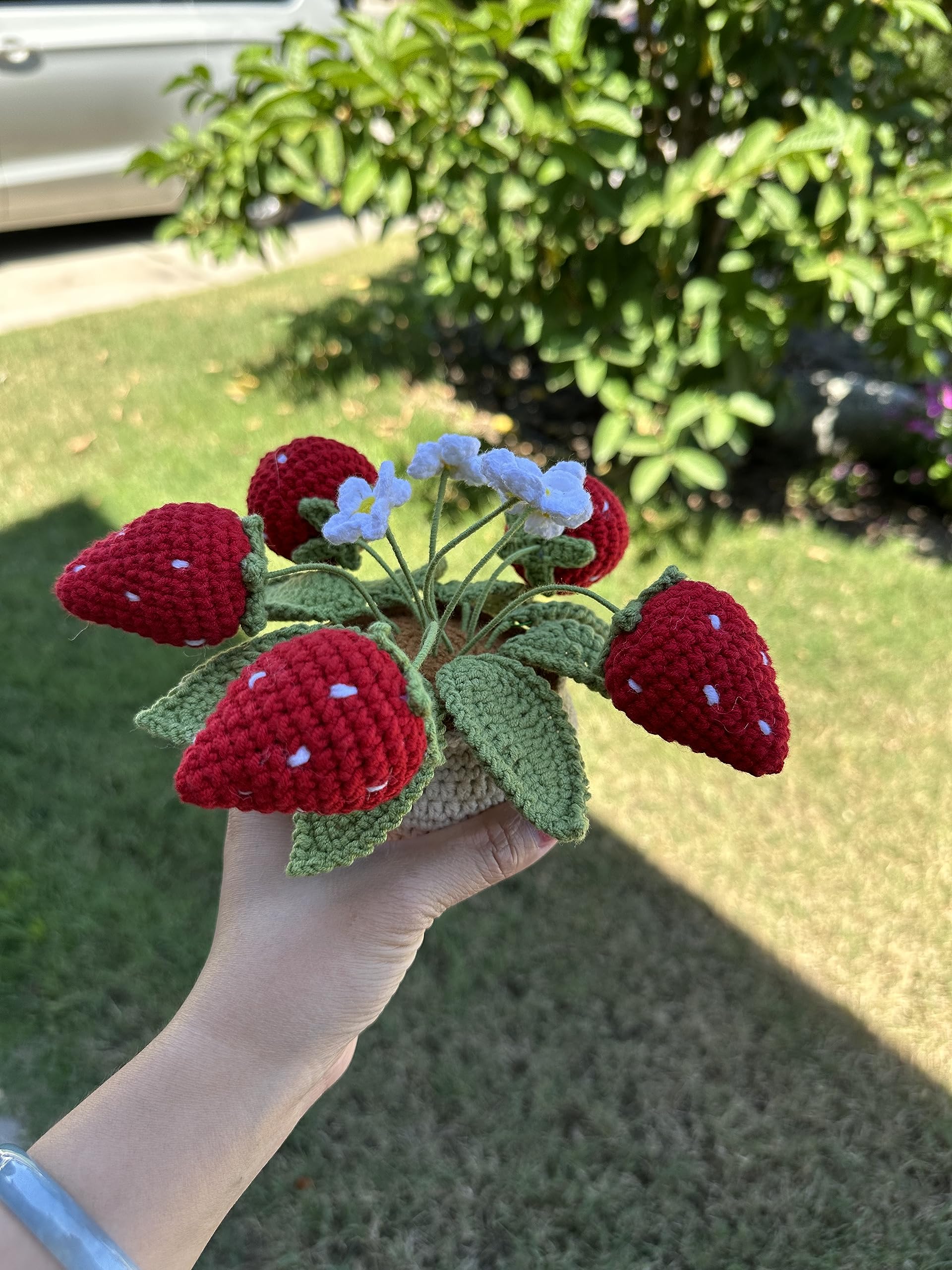 Handmade Crochet Strawberry Plant - Cute Amigurumi Home Decor for Table, Shelf & Nursery | Unique Gift Idea for Plant Lovers & DIY Enthusiasts | Perfect for Living Room, Bedroom & Office Decor