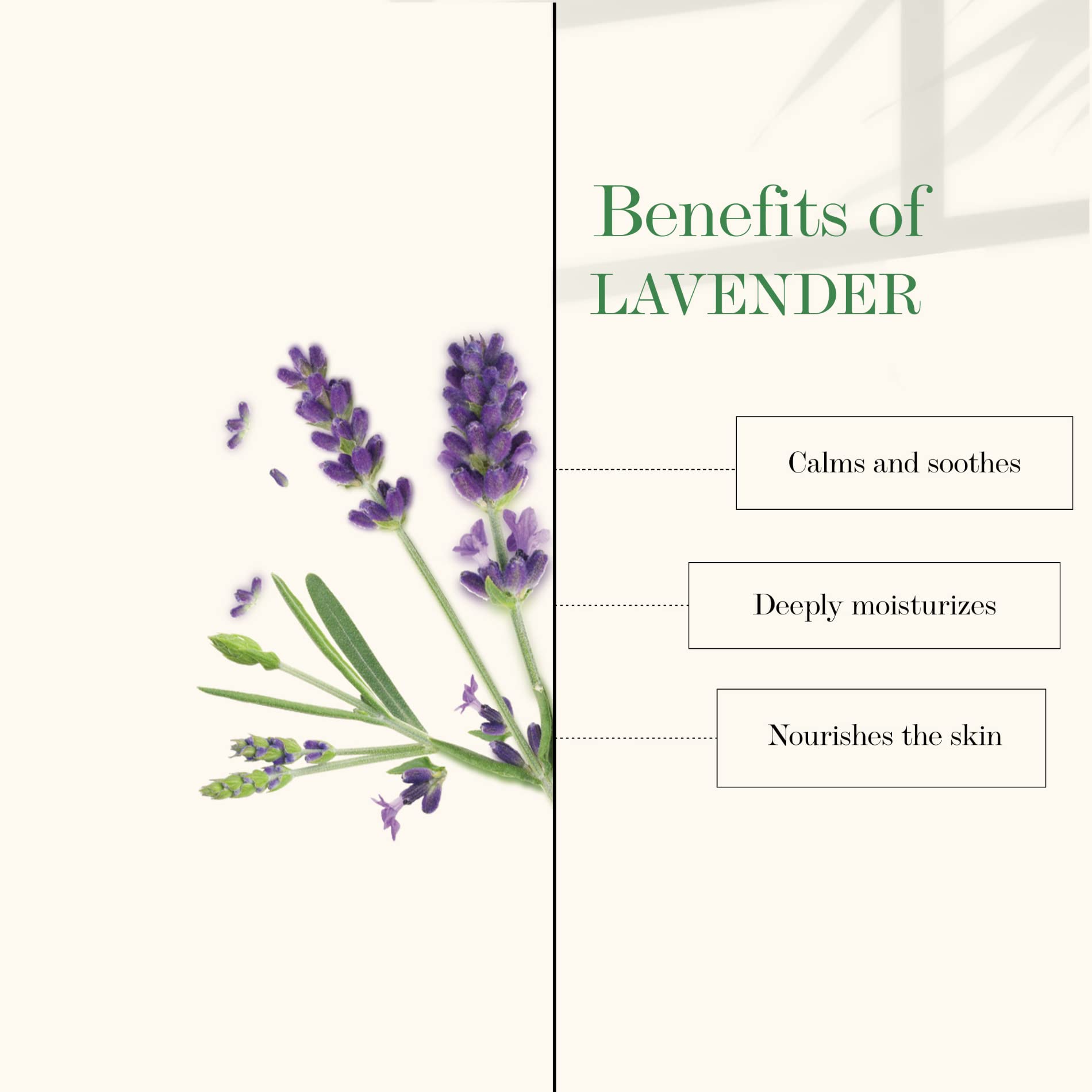 Good Vibes Lavender Foot Therapy Cream - 50g - Deep Moisturizing & Nourishing Foot Cream for Dry, Cracked Heels - Soothes & Softens Rough Skin - Perfect for Pedicures, Night Foot Care & Relaxation After Long Days