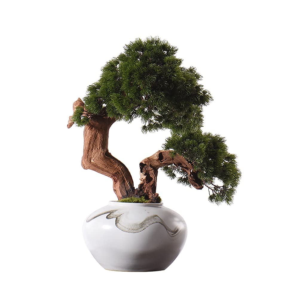 Artificial Bonsai Tree - Zen Desktop Decor Fake Plant for Home & Office | Indoor Potted Green Plant Decoration for Desk, Hotel Lobby & Front Desk | Low Maintenance Decorative Artwork for Meditation Spaces & Asian-Themed Interiors