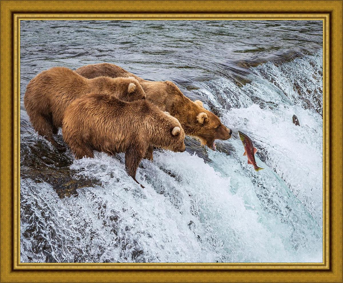 Grizzly Bears Fishing for Salmon at Brooks Falls - Katmai National Park Alaska - Large Wildlife Wall Art Decor for Living Room, Office & Cabin