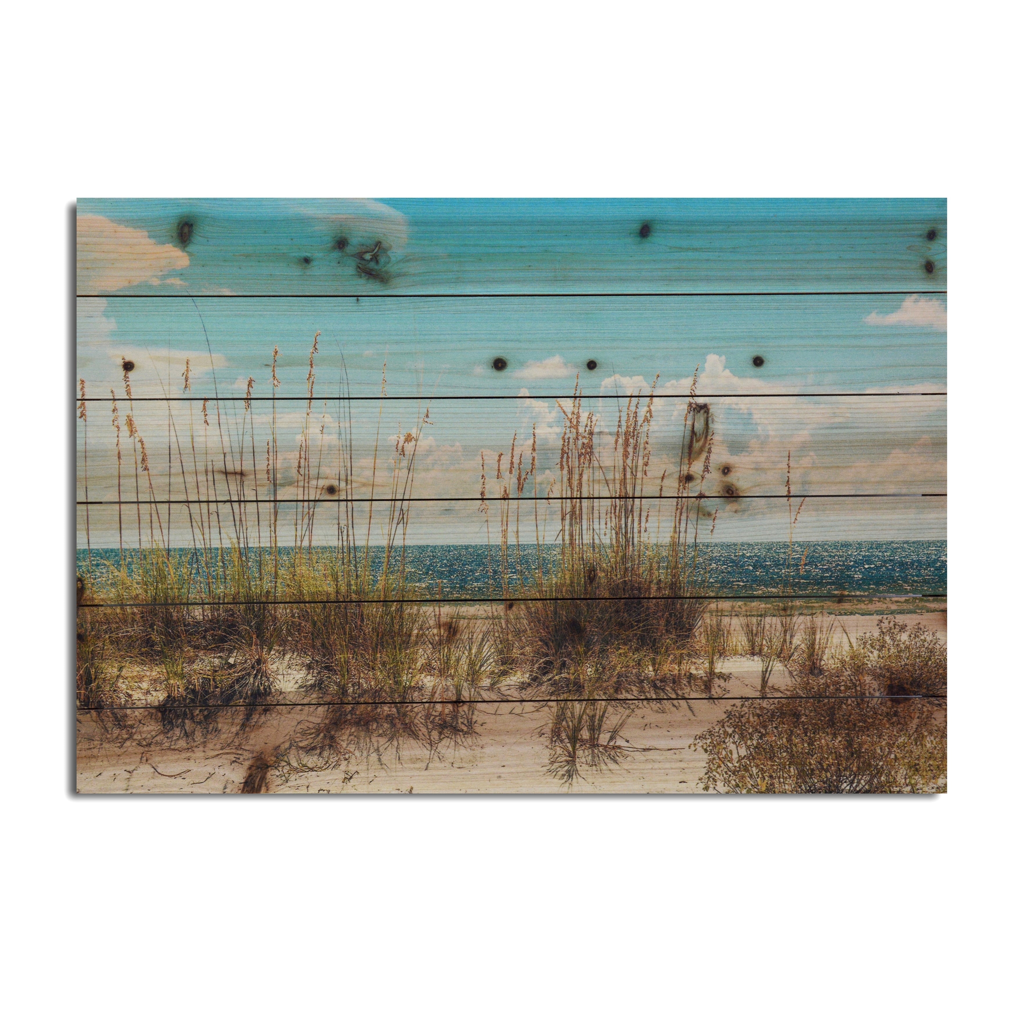 Beach Sand Dunes Landscape Photography Print on Reclaimed Wood Wall Art - Coastal Home Decor for Living Room, Bedroom & Office