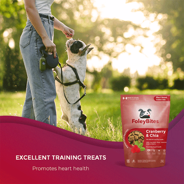 Premium Baked Dog Treats with Cranberry & Chia - Foley Bites - Healthy Snacks for Dogs - Perfect for Training, Rewards & Dental Health