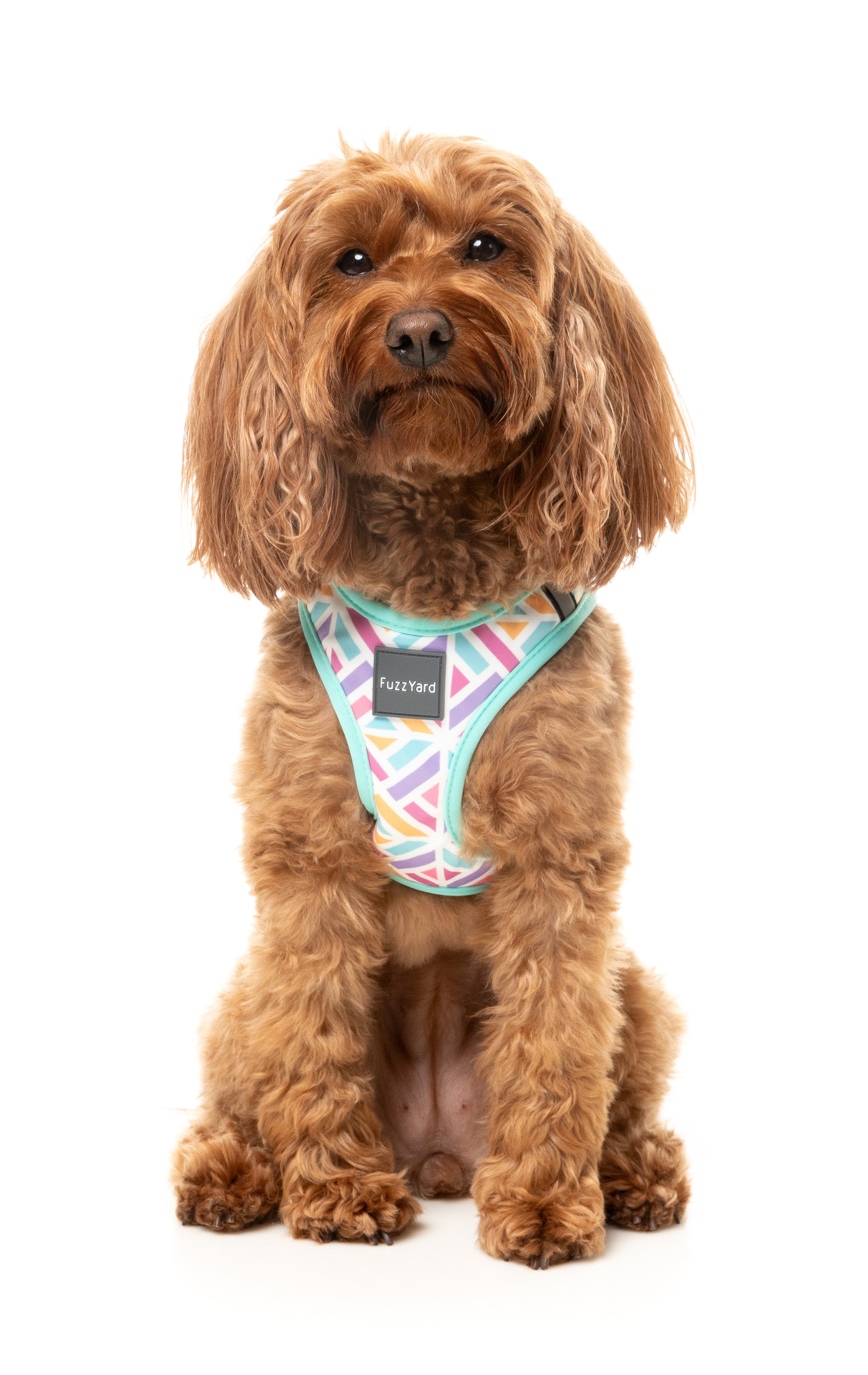 Fuzzyard Bubblegum Burst Dog Step-In Harness - Adjustable Pet Vest for Small Medium Dogs - Perfect for Walking, Training & Outdoor Adventures