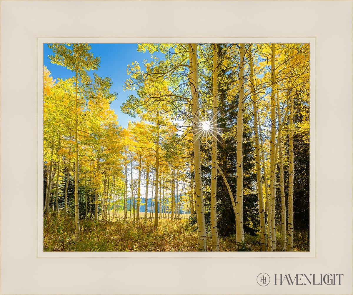 Autumn in the Rocky Mountains - Stunning Fall Foliage at Wasatch National Forest Utah | Perfect for Hiking, Photography & Nature Exploration