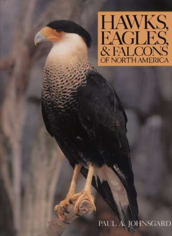 Hawks, Eagles, and Falcons of North America: Complete Guide to Biology, Habitats & Behavior | Bird Watching, Wildlife Photography & Nature Study
