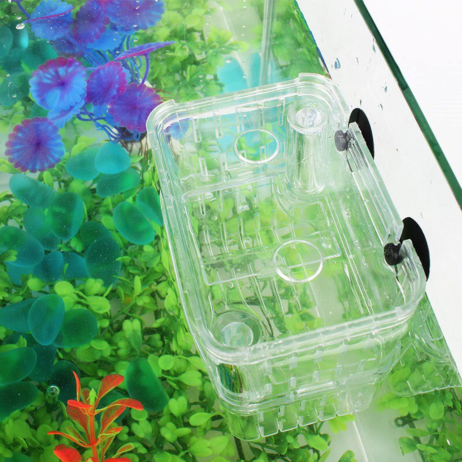 Plastic Aquarium Fish Breeder Box - Isolation Breeding & Hatching Incubator for Baby Fish, Shrimp, Clownfish, Guppy (Small) | Perfect for Home Aquariums, Fish Farms & Breeding Tanks