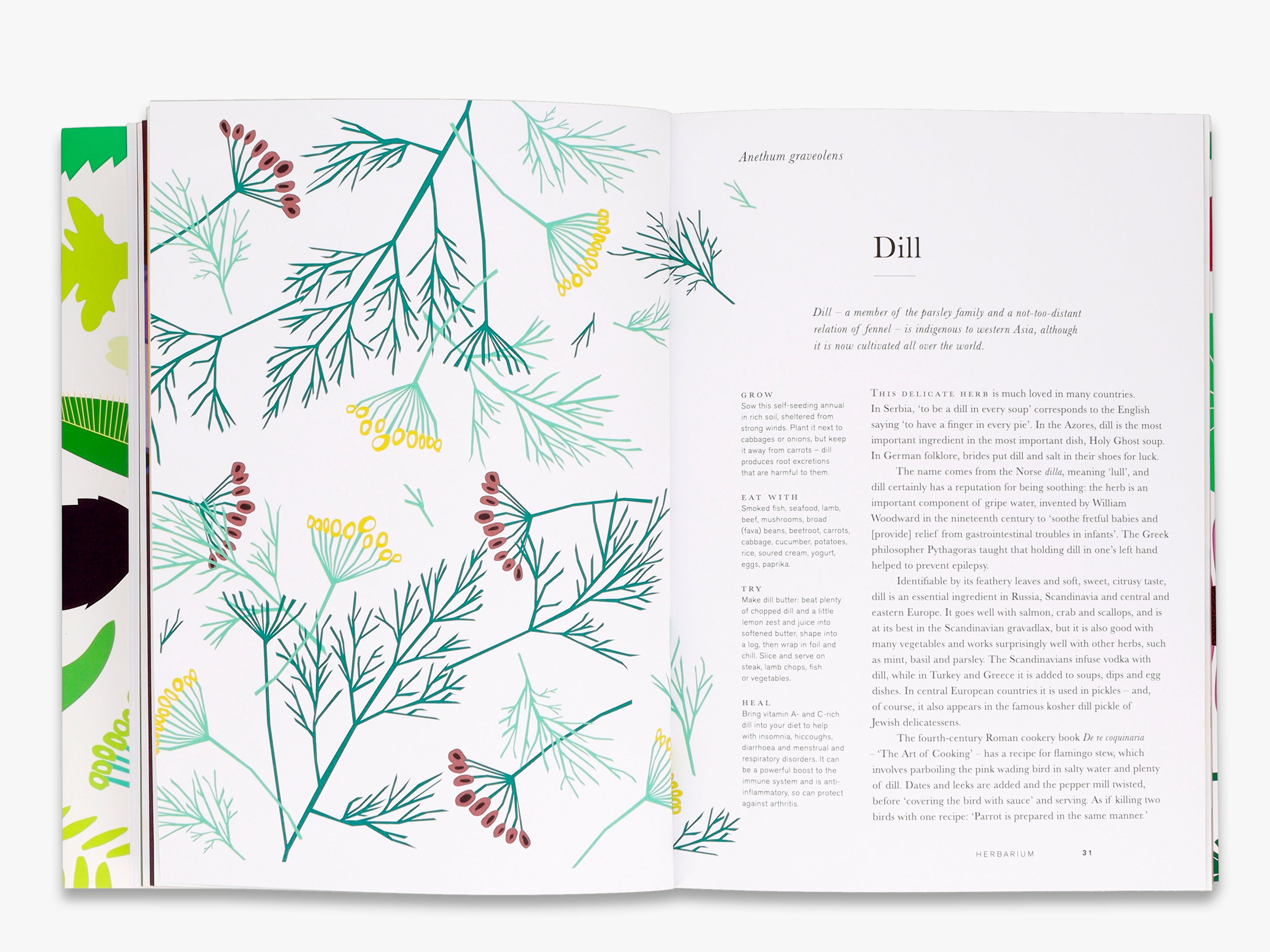 Premium Herbarium Kit for Plant Lovers - Collect, Preserve & Display Botanical Specimens - Perfect for Science Projects, Home Decor & Nature Study