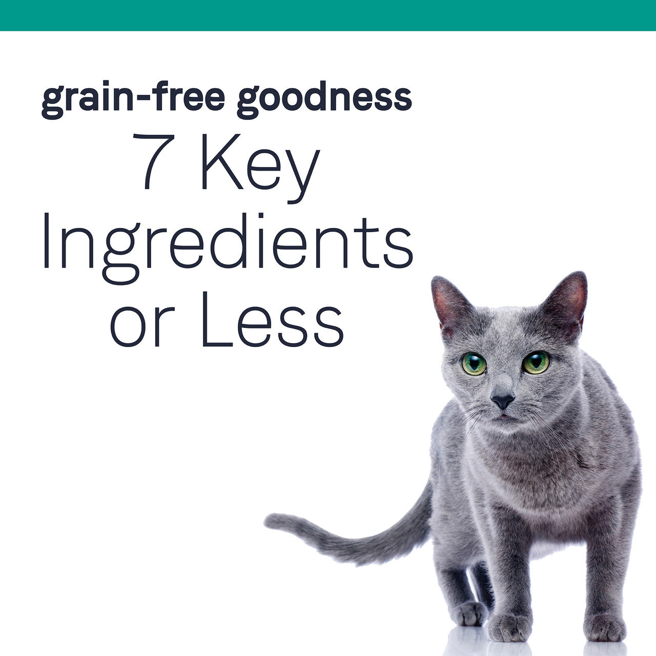 Premium Grain-Free Dry Cat Food with Real Chicken - High Protein, Natural Ingredients for Adult & Senior Cats - Ideal for Indoor & Outdoor Cats, Supports Healthy Digestion & Shiny Coat