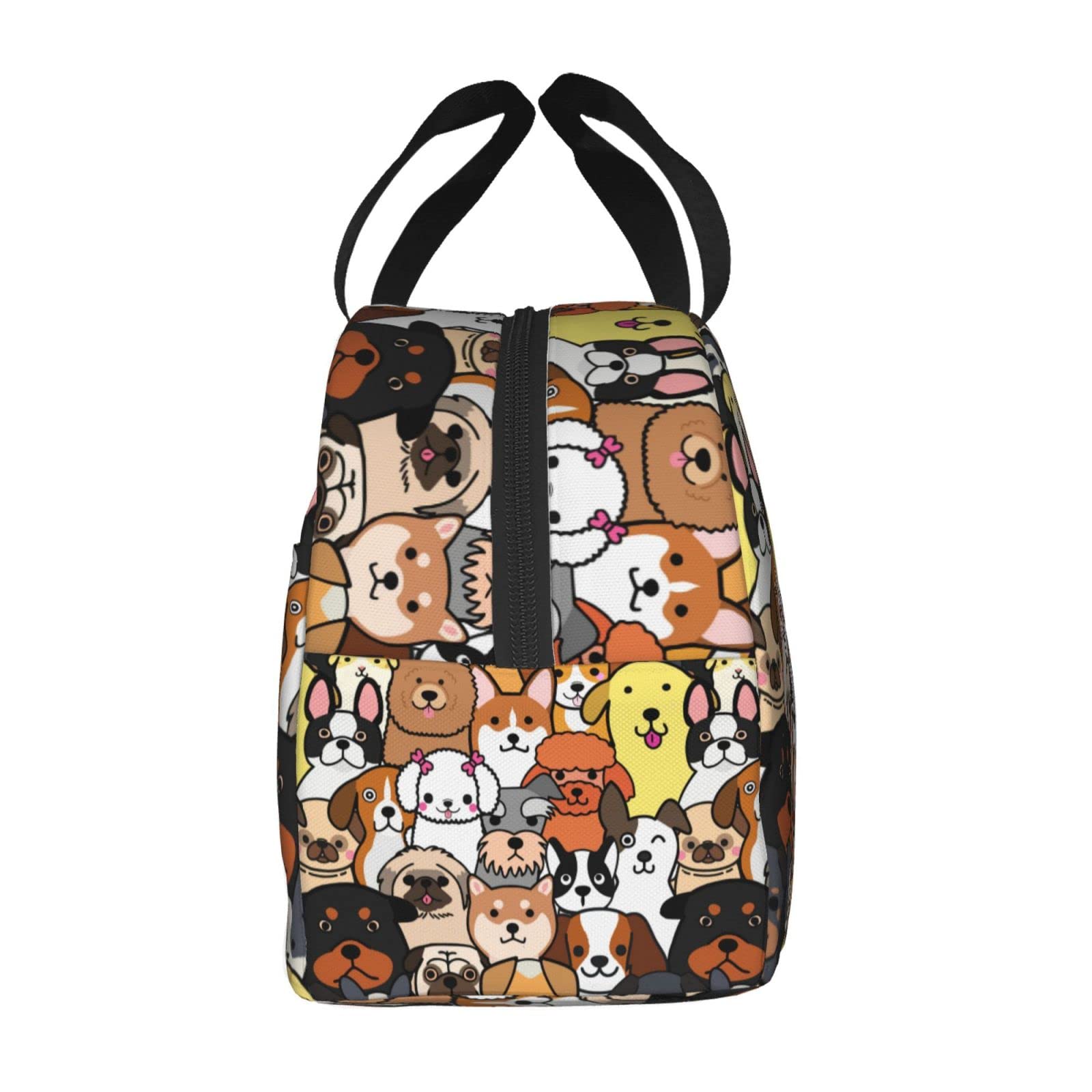 Insulated Reusable Lunch Box for Dogs - Leak Proof & Eco-Friendly Lunch Bag for Kids, Teens, Women - Perfect for School, Travel, Picnic & Beach Outings