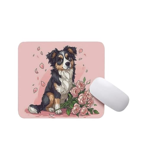Australian Shepherd