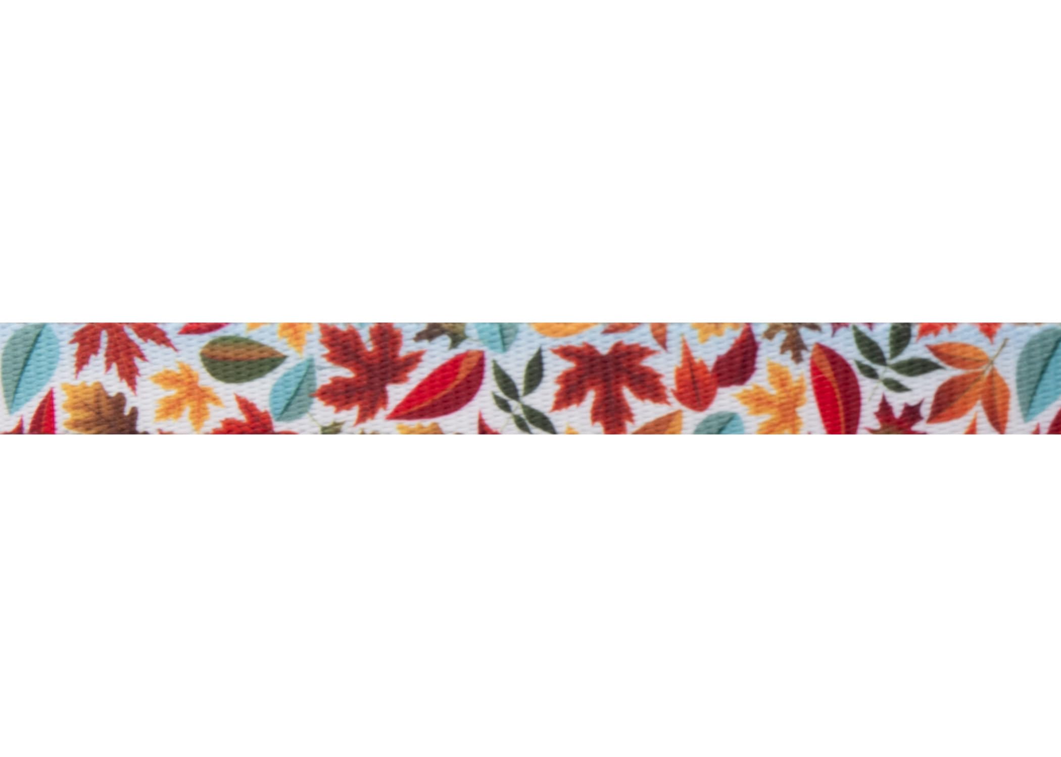 Country Brook Design - Brisk Autumn Polyester Webbing Dog Collar - Durable & Stylish for Small, Medium & Large Dogs - Perfect for Daily Walks, Training & Outdoor Adventures