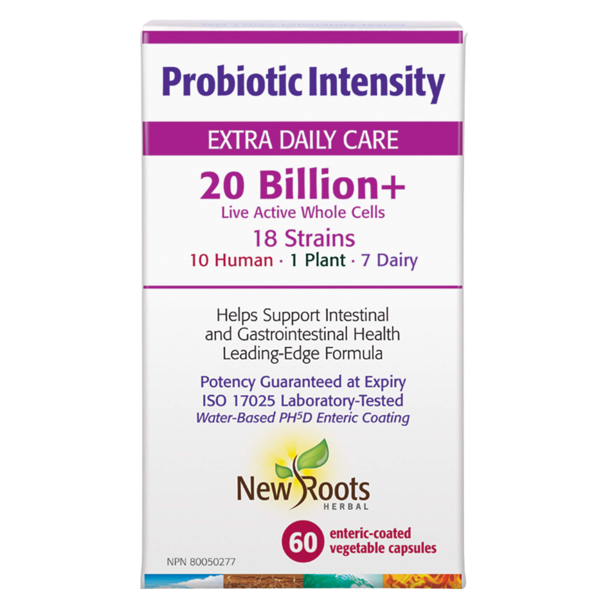 High Potency Probiotic Supplement for Gut Health - Supports Digestion & Immune System - Ideal for Daily Wellness & Travel