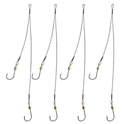Type-B: 2 Hook rig