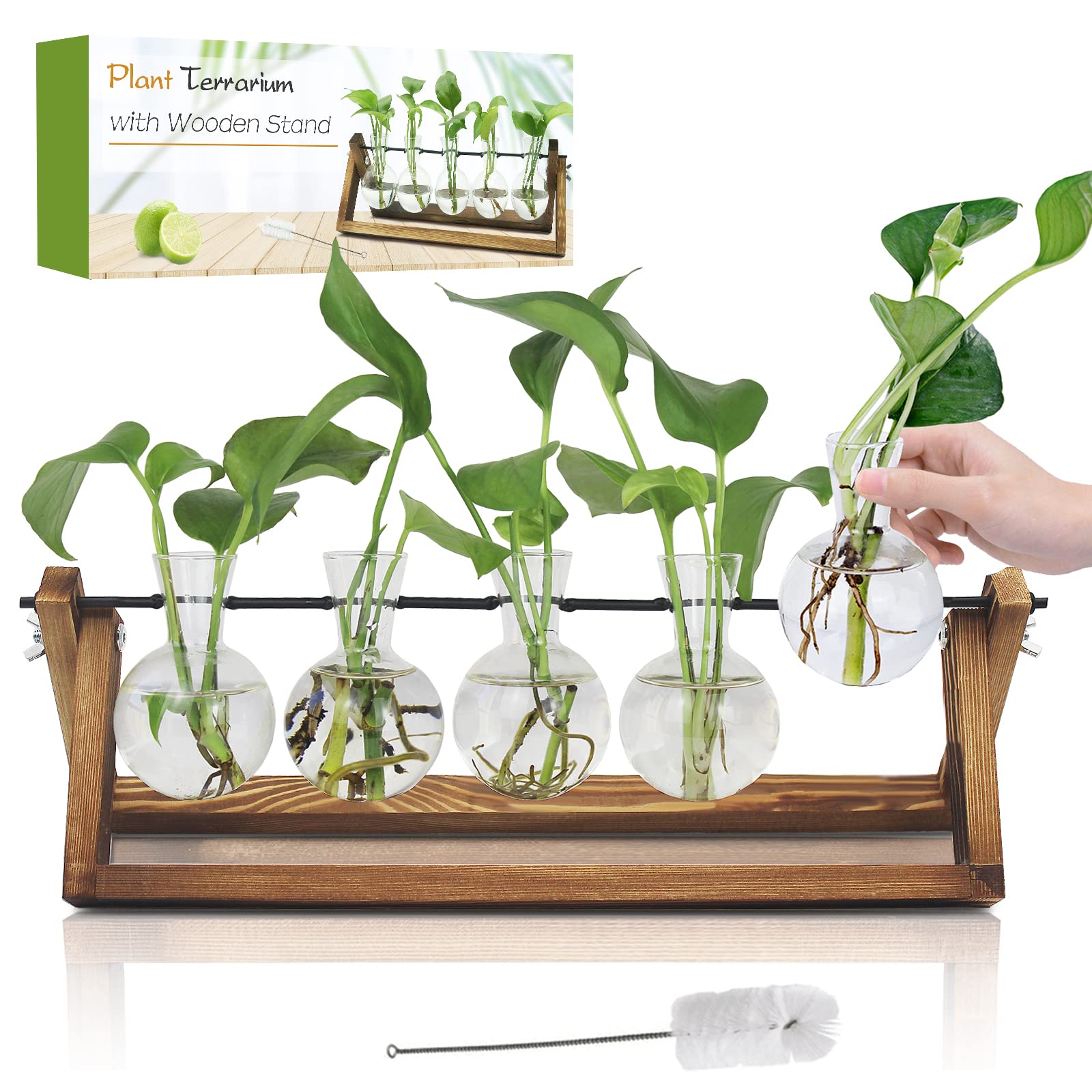Plant Propagation Station - 5 Bulb Glass Vases for Water Rooting Plants | Unique Gardening Gifts for Women, Plant Lovers, Mom & Best Friend | Perfect for Home Decor, Indoor Gardening & Gift Giving