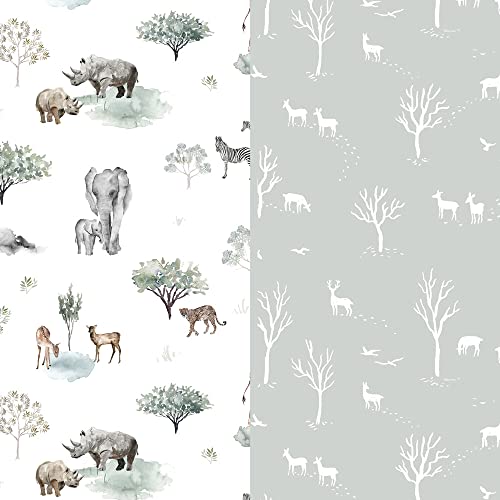 Savannah Animal