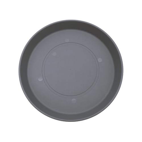 Warm Gray